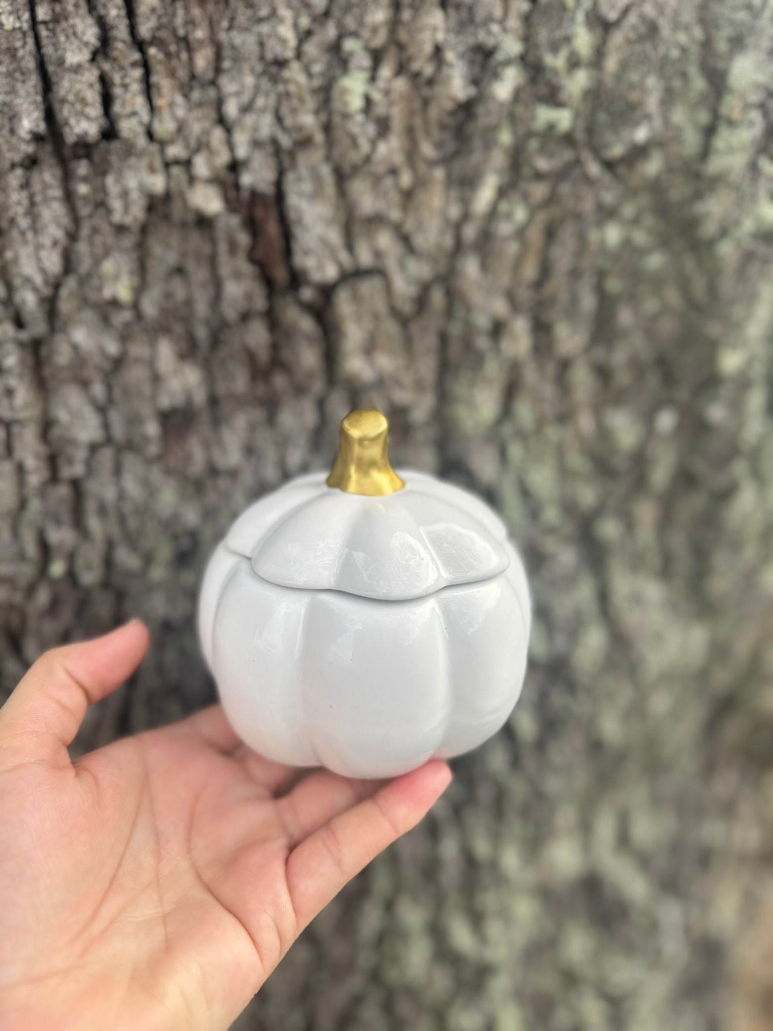 Pumpkin Candle 5 oz