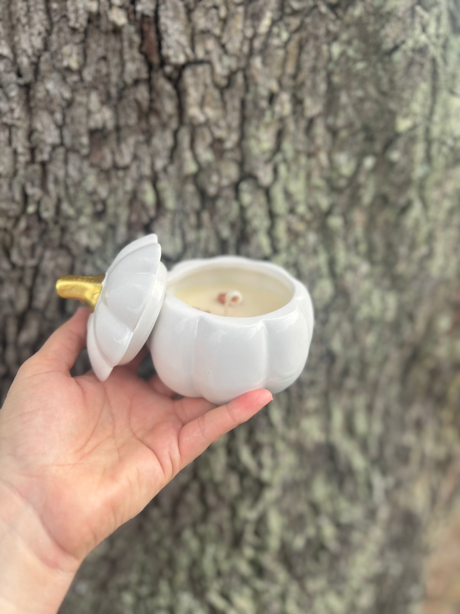 Pumpkin Candle 5 oz
