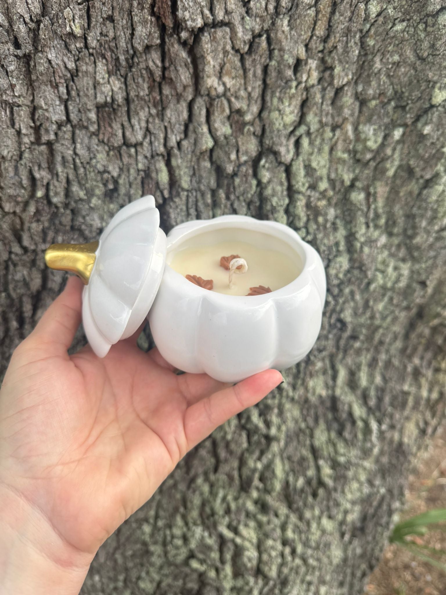 Pumpkin Candle 5 oz