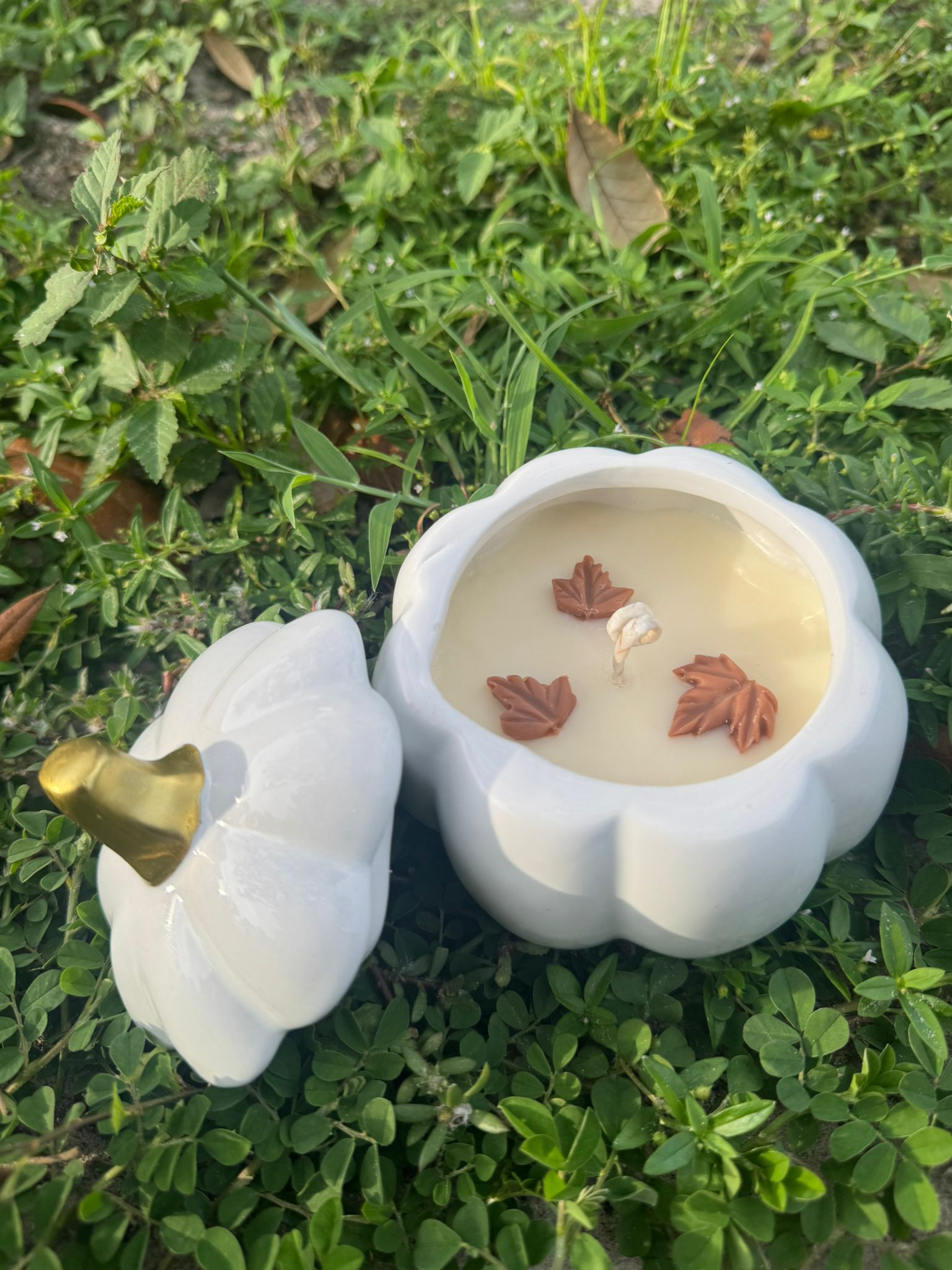 Pumpkin Candle 5 oz